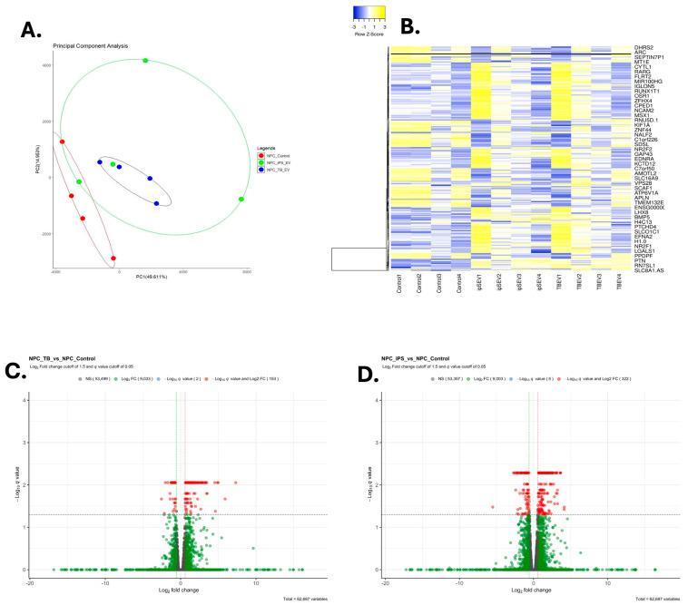 https://cdn.ncbi.nlm.nih.gov/pmc/blobs/6ee4/11593255/8e4ad3e752ae/cells-13-01867-g006.jpg