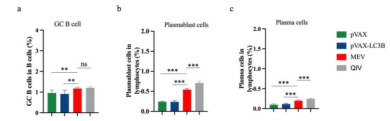 https://cdn.ncbi.nlm.nih.gov/pmc/blobs/6ee6/11350506/0929f0d221f3/figs8.jpg