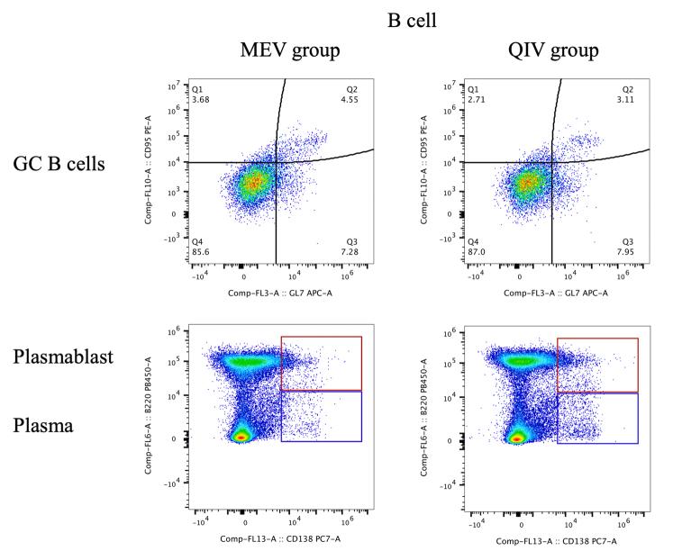 https://cdn.ncbi.nlm.nih.gov/pmc/blobs/6ee6/11350506/fb5758e5f112/figs7.jpg