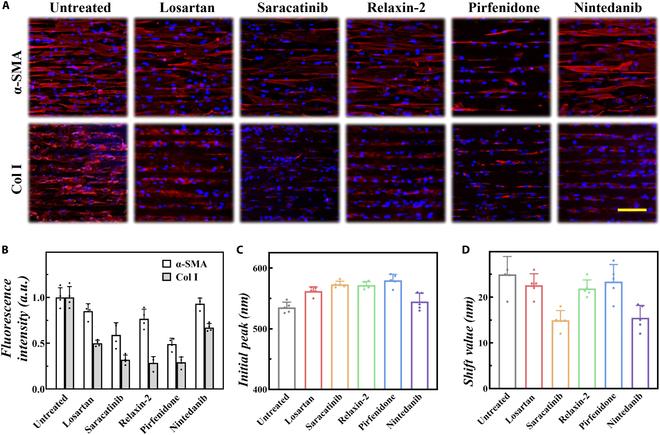 https://cdn.ncbi.nlm.nih.gov/pmc/blobs/6f12/11391215/415dd6d81c11/research.0471.fig.006.jpg