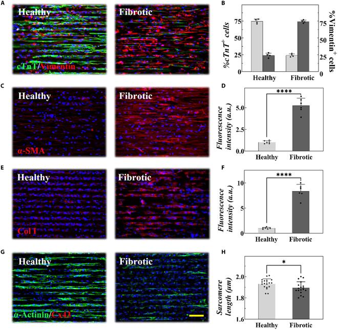 https://cdn.ncbi.nlm.nih.gov/pmc/blobs/6f12/11391215/980375a96ae8/research.0471.fig.003.jpg