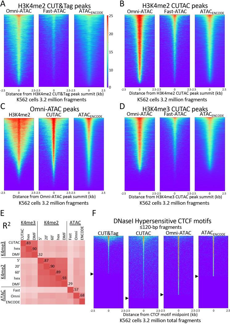 https://cdn.ncbi.nlm.nih.gov/pmc/blobs/6f15/7721439/8e529da87435/elife-63274-fig4.jpg