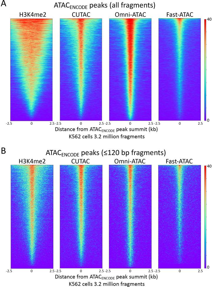https://cdn.ncbi.nlm.nih.gov/pmc/blobs/6f15/7721439/a53267151531/elife-63274-fig4-figsupp2.jpg