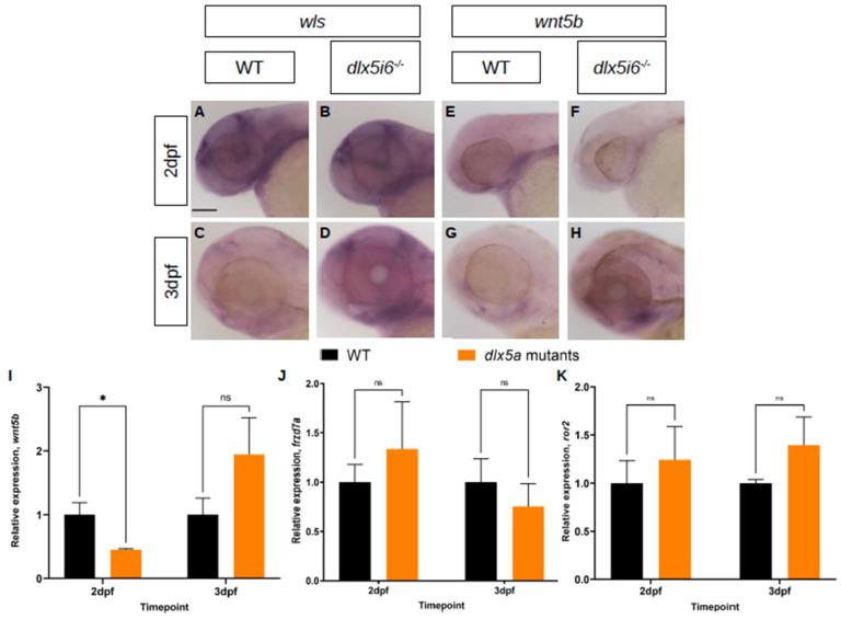 https://cdn.ncbi.nlm.nih.gov/pmc/blobs/6f19/10526740/b49eb5a0bbe9/biomolecules-13-01347-g006.jpg