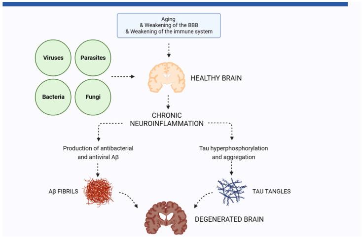 https://cdn.ncbi.nlm.nih.gov/pmc/blobs/6f72/10669446/281527d9b3dd/biomolecules-13-01568-g001.jpg