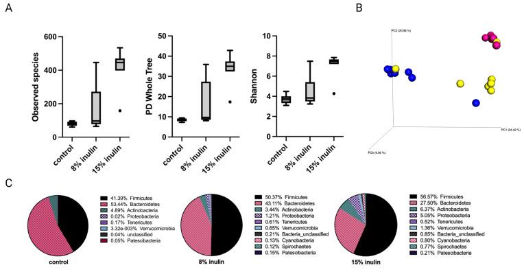 https://cdn.ncbi.nlm.nih.gov/pmc/blobs/6f8d/10218871/3362c9fec435/ijms-24-09015-g002.jpg