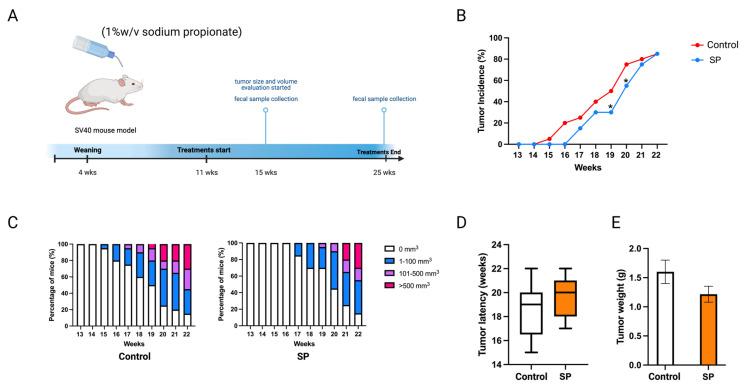 https://cdn.ncbi.nlm.nih.gov/pmc/blobs/6f8d/10218871/b23fefed5b82/ijms-24-09015-g010.jpg