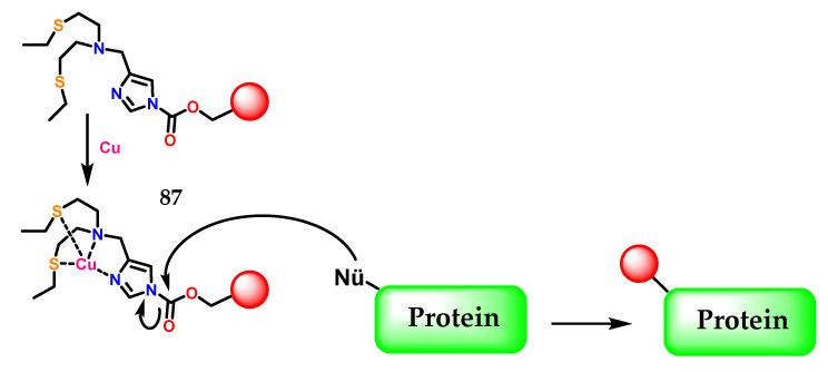 https://cdn.ncbi.nlm.nih.gov/pmc/blobs/6f94/9865940/5060b0677fe0/molecules-28-00838-g035.jpg