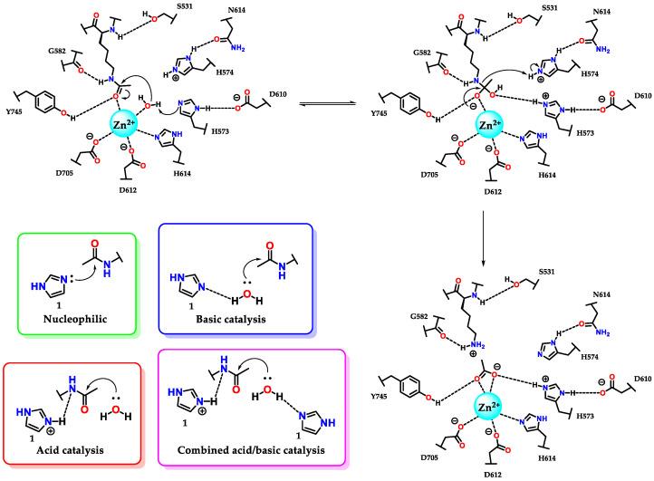 https://cdn.ncbi.nlm.nih.gov/pmc/blobs/6f94/9865940/d36587954582/molecules-28-00838-g029.jpg