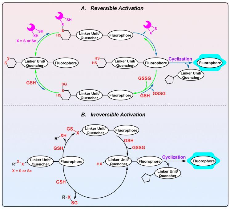 https://cdn.ncbi.nlm.nih.gov/pmc/blobs/6fa6/10452626/ccb3f2f8627f/biosensors-13-00811-g011.jpg