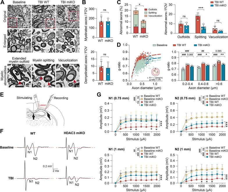 https://cdn.ncbi.nlm.nih.gov/pmc/blobs/6fa7/9357327/5c3381971725/12974_2022_2563_Fig6_HTML.jpg