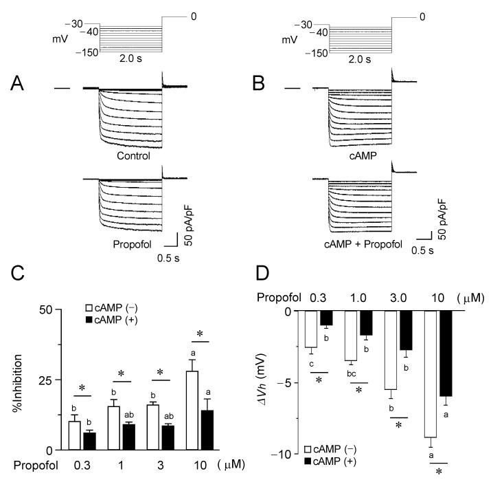 https://cdn.ncbi.nlm.nih.gov/pmc/blobs/6fac/9032835/8e4a3ae4b548/biomolecules-12-00570-g003.jpg