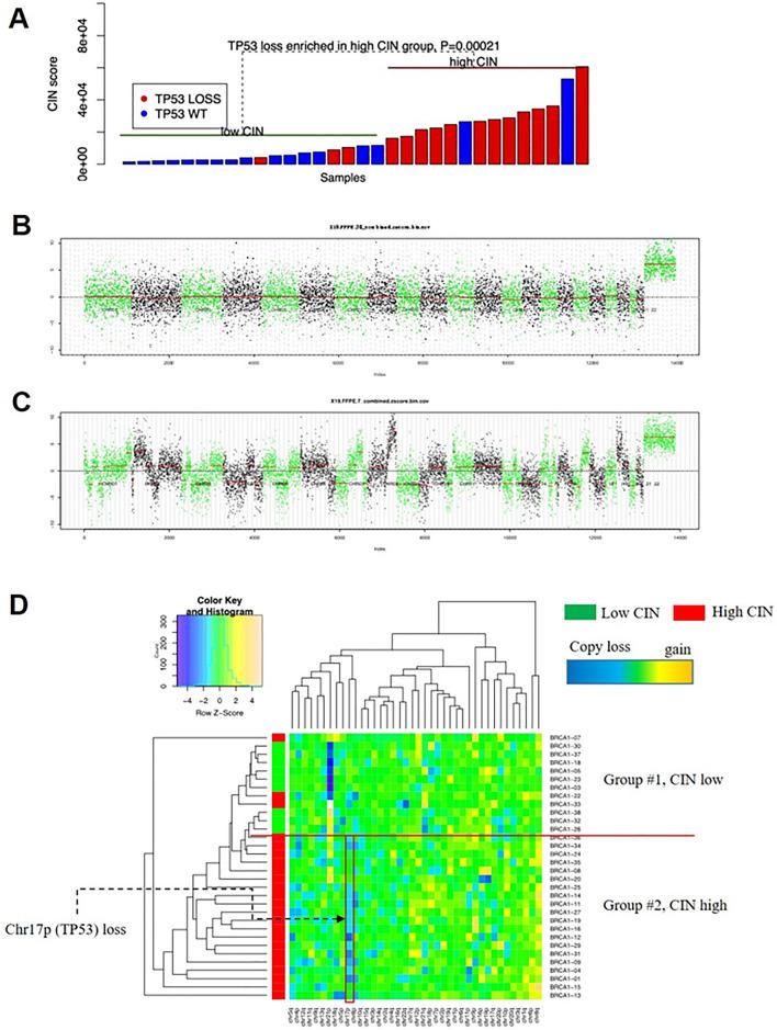 https://cdn.ncbi.nlm.nih.gov/pmc/blobs/6faf/8732803/7141785503a7/12282_2021_1286_Fig1_HTML.jpg