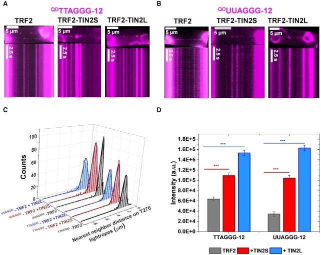 https://cdn.ncbi.nlm.nih.gov/pmc/blobs/6fe6/8682769/e171b161b329/gkab1142fig7.jpg