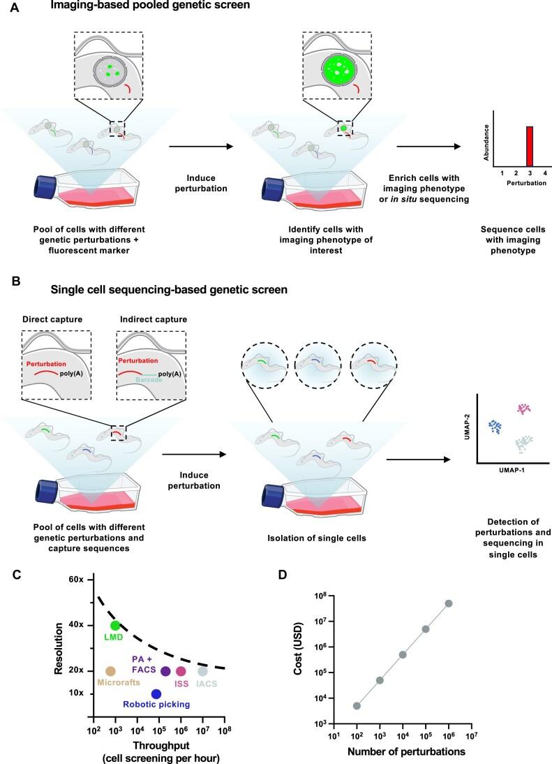 https://cdn.ncbi.nlm.nih.gov/pmc/blobs/702d/12203798/09b26c4bdbcd/gkaf515fig4.jpg