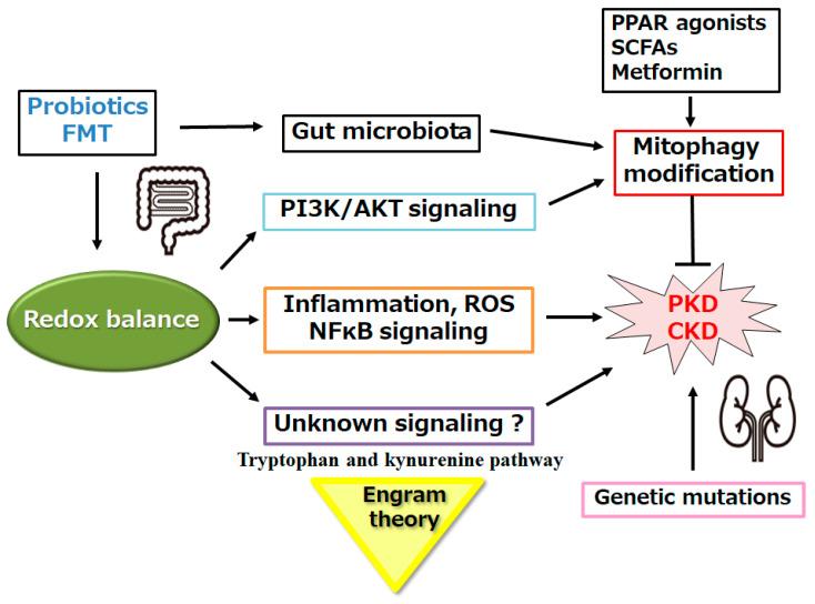 https://cdn.ncbi.nlm.nih.gov/pmc/blobs/7048/10886467/e44462c67a7c/biomolecules-14-00207-g003.jpg