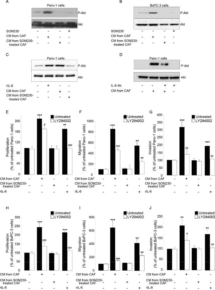 https://cdn.ncbi.nlm.nih.gov/pmc/blobs/7071/5173080/d218faa44100/oncotarget-07-41584-g006.jpg