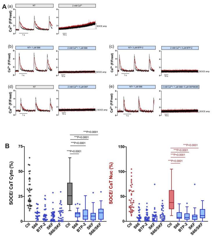 https://cdn.ncbi.nlm.nih.gov/pmc/blobs/707b/10705675/dde4c96c728b/cells-12-02690-g007.jpg