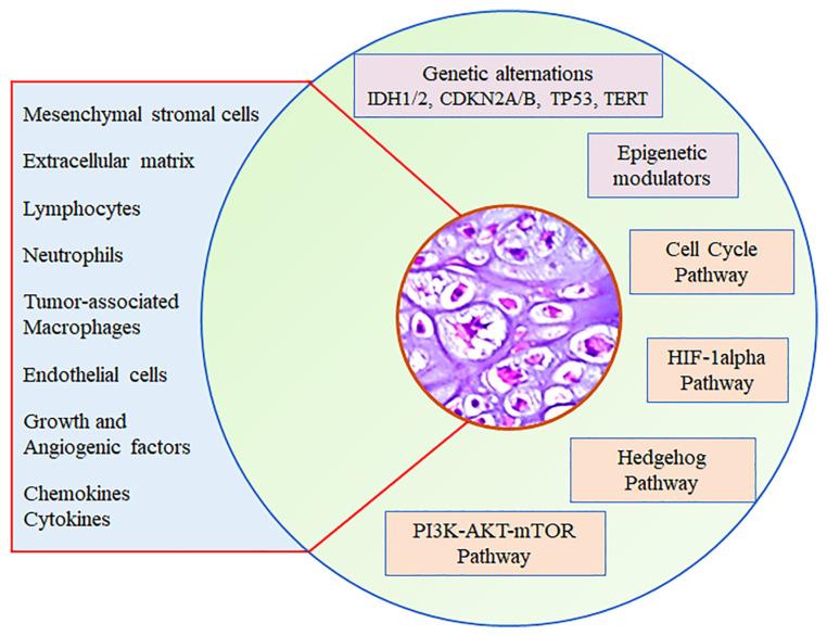 https://cdn.ncbi.nlm.nih.gov/pmc/blobs/7087/11171855/79038ee4f4a0/cells-13-00977-g001.jpg
