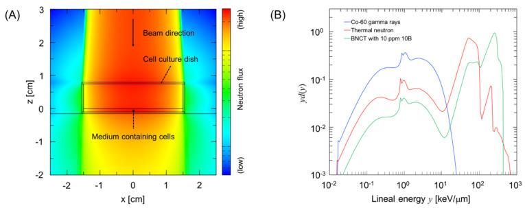 https://cdn.ncbi.nlm.nih.gov/pmc/blobs/708e/7290789/ca4645509ac8/cells-09-01117-g002.jpg