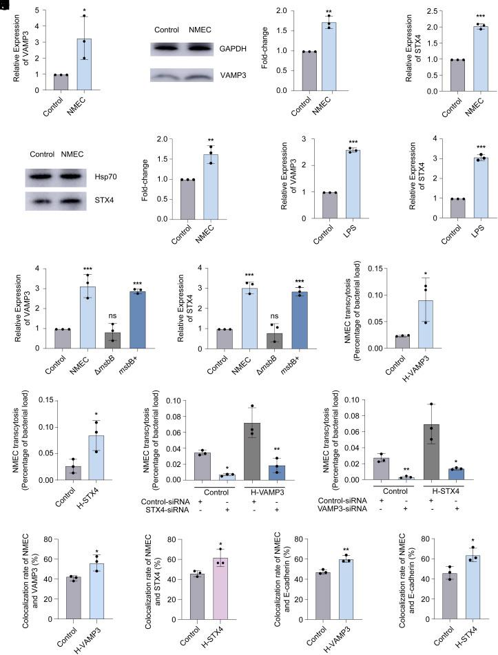 https://cdn.ncbi.nlm.nih.gov/pmc/blobs/709f/12260585/823b42d90408/pnas.2500285122fig05.jpg
