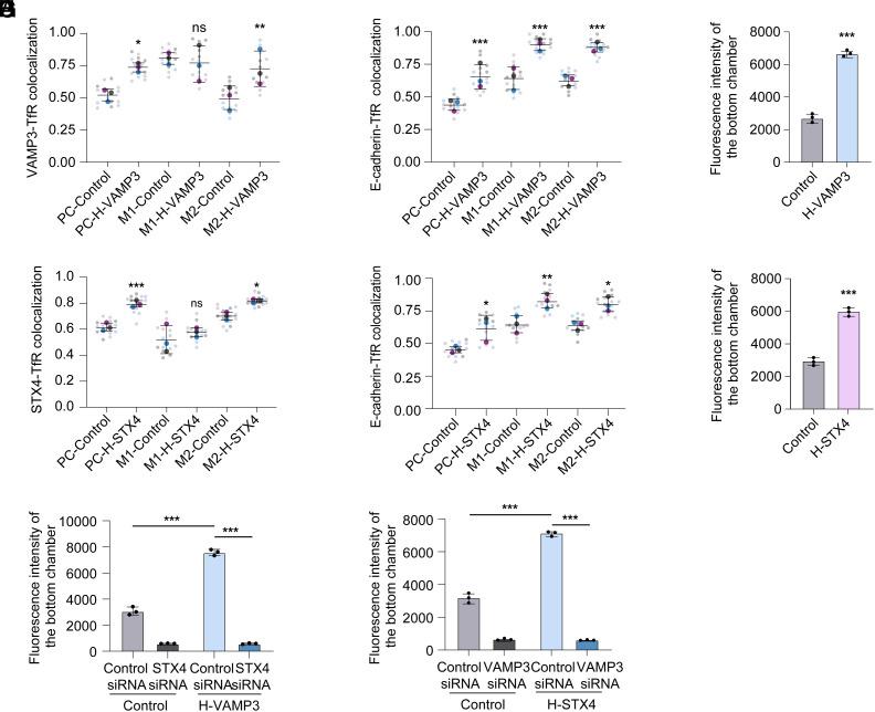 https://cdn.ncbi.nlm.nih.gov/pmc/blobs/709f/12260585/cb33b379cdd1/pnas.2500285122fig03.jpg
