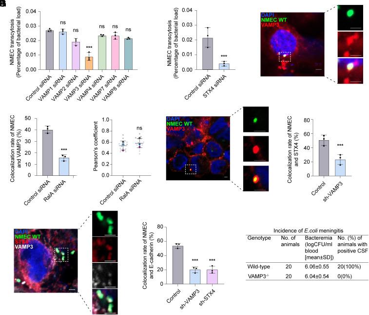 https://cdn.ncbi.nlm.nih.gov/pmc/blobs/709f/12260585/fe7403f0809a/pnas.2500285122fig04.jpg