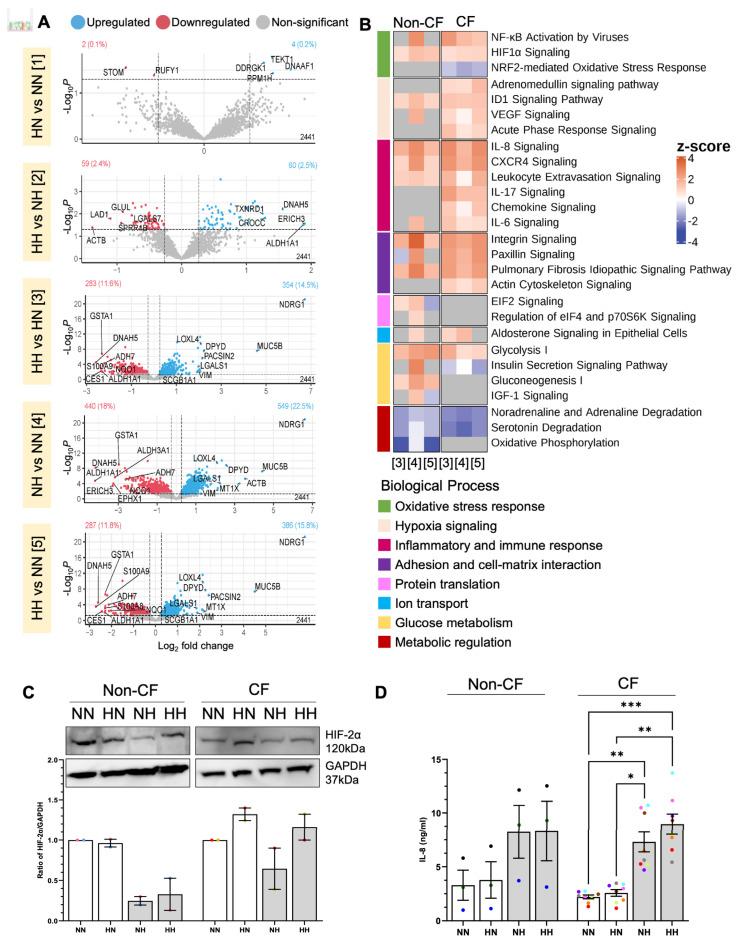 https://cdn.ncbi.nlm.nih.gov/pmc/blobs/70c2/10095024/7d5e47811b2a/ijms-24-06475-g003.jpg
