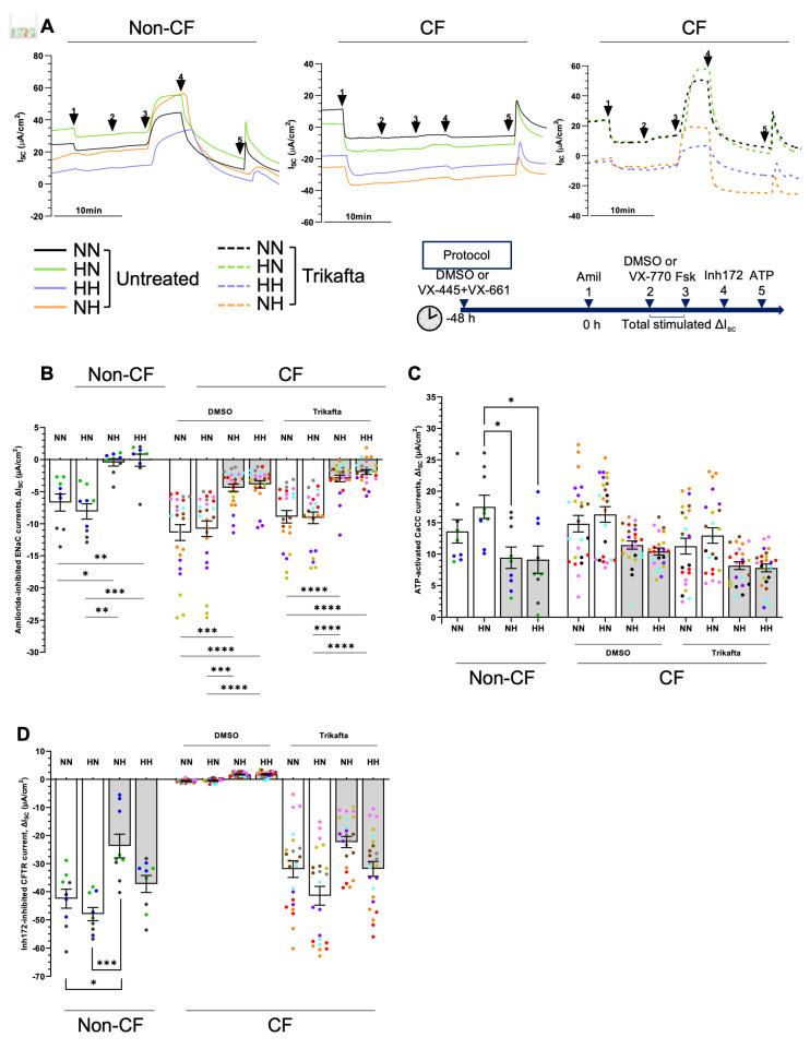 https://cdn.ncbi.nlm.nih.gov/pmc/blobs/70c2/10095024/9b2b17c87b23/ijms-24-06475-g006.jpg