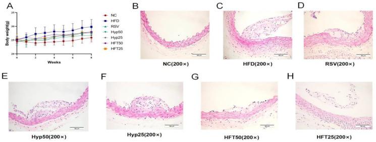 https://cdn.ncbi.nlm.nih.gov/pmc/blobs/70cd/10343736/120fb722e9c1/molecules-28-05088-g001.jpg