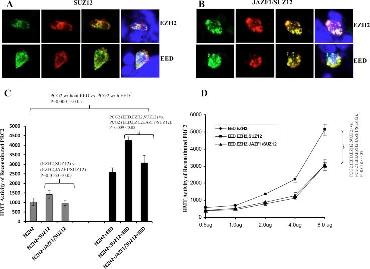https://cdn.ncbi.nlm.nih.gov/pmc/blobs/70d1/5354813/90125e6e2f9b/oncotarget-08-4062-g003.jpg