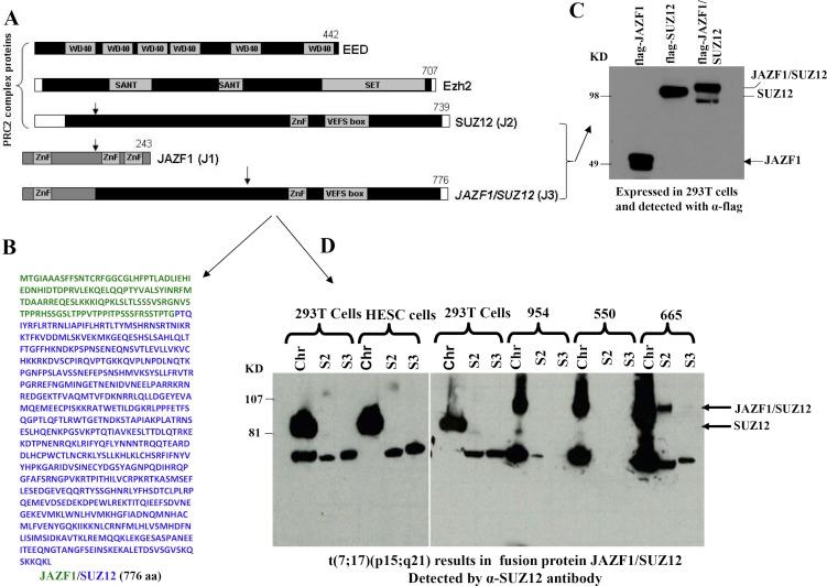 https://cdn.ncbi.nlm.nih.gov/pmc/blobs/70d1/5354813/9659420ddd2e/oncotarget-08-4062-g001.jpg