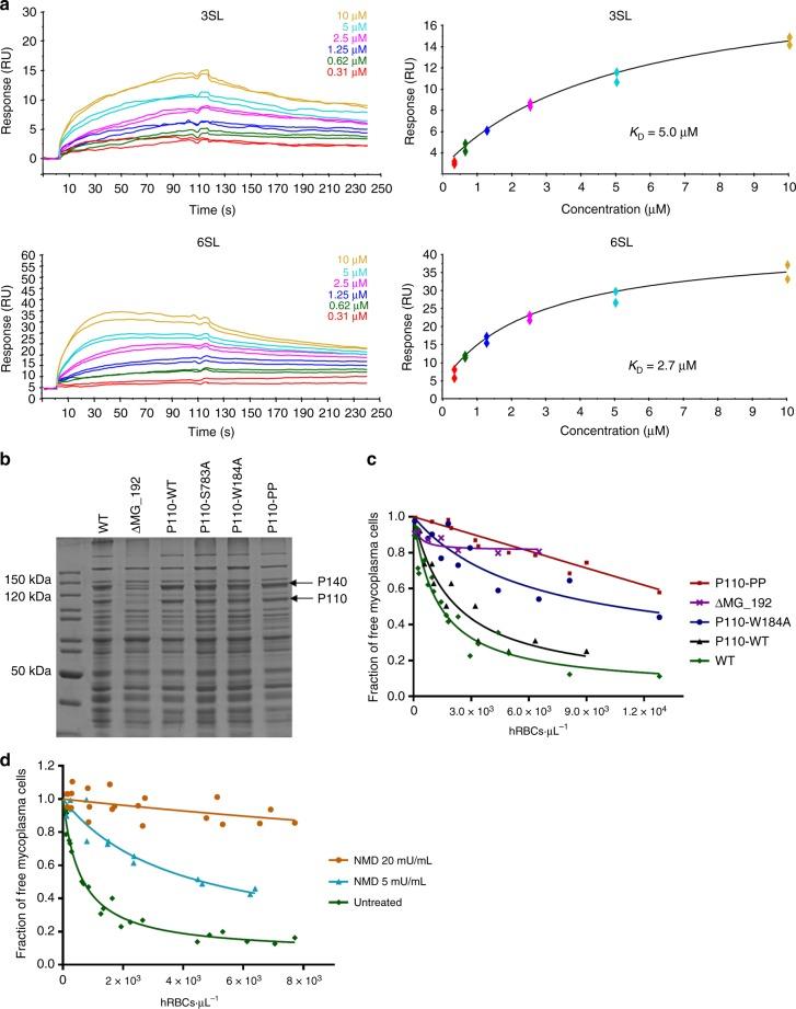 https://cdn.ncbi.nlm.nih.gov/pmc/blobs/70d4/6203739/438f7ae30dd2/41467_2018_6963_Fig4_HTML.jpg