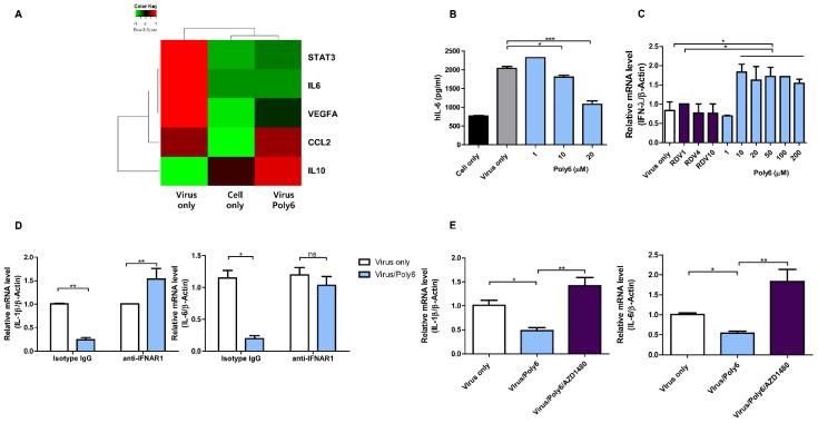 https://cdn.ncbi.nlm.nih.gov/pmc/blobs/70d8/8310041/99231780a8bf/viruses-13-01227-g005.jpg