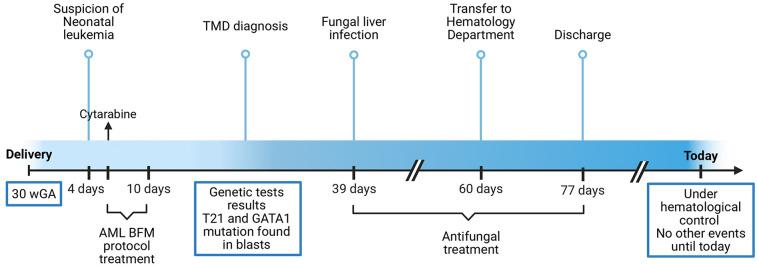 https://cdn.ncbi.nlm.nih.gov/pmc/blobs/70e9/12162912/5bc53f6196d2/fped-13-1604803-g001.jpg