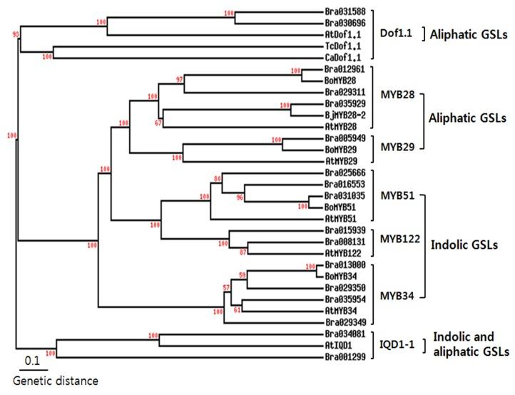 https://cdn.ncbi.nlm.nih.gov/pmc/blobs/70f0/6269701/7f4c9c7219ea/molecules-18-08682-g002.jpg