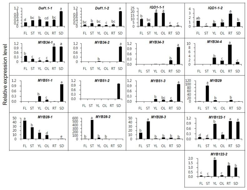 https://cdn.ncbi.nlm.nih.gov/pmc/blobs/70f0/6269701/e9489664ce0d/molecules-18-08682-g003.jpg