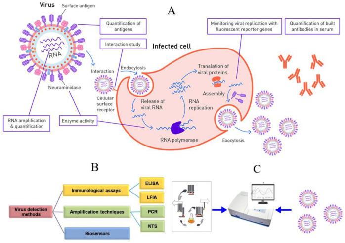 https://cdn.ncbi.nlm.nih.gov/pmc/blobs/7100/10296108/521465b645f5/biosensors-13-00640-g001.jpg