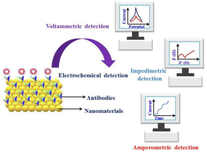 https://cdn.ncbi.nlm.nih.gov/pmc/blobs/7100/10296108/5573469aa000/biosensors-13-00640-g004.jpg