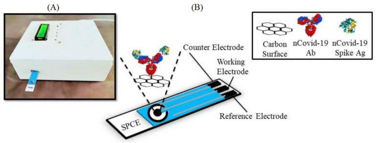 https://cdn.ncbi.nlm.nih.gov/pmc/blobs/7100/10296108/584c41f0c7b7/biosensors-13-00640-g005.jpg