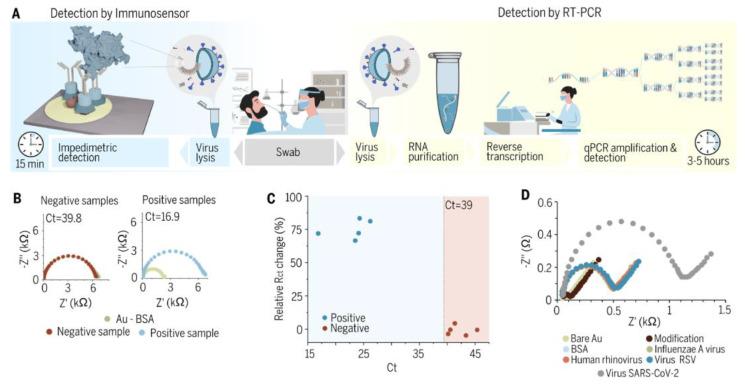 https://cdn.ncbi.nlm.nih.gov/pmc/blobs/7100/10296108/ac15a577f3f2/biosensors-13-00640-g006.jpg