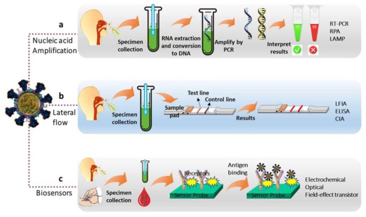 https://cdn.ncbi.nlm.nih.gov/pmc/blobs/7100/10296108/b0bff66e7f17/biosensors-13-00640-g002.jpg