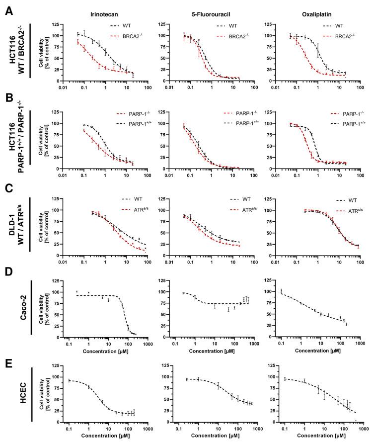 https://cdn.ncbi.nlm.nih.gov/pmc/blobs/7131/11506018/03d81d356622/cancers-16-03441-g0A5.jpg