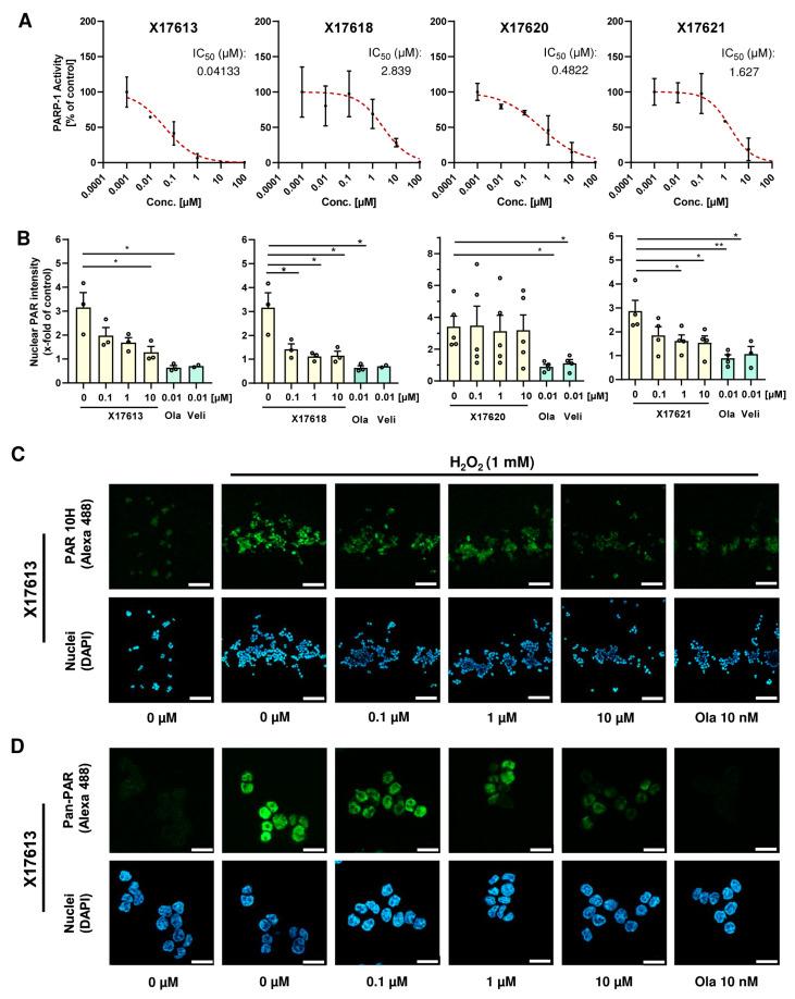 https://cdn.ncbi.nlm.nih.gov/pmc/blobs/7131/11506018/12719a2b8784/cancers-16-03441-g002.jpg
