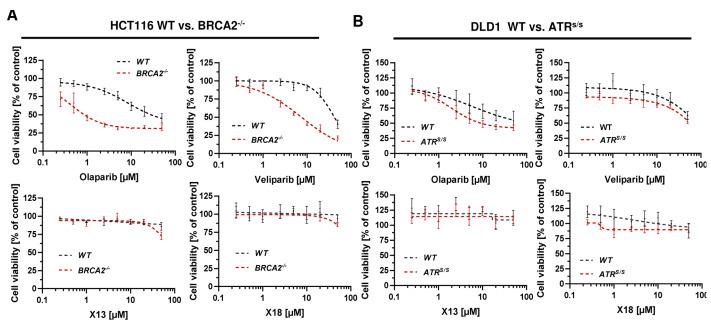 https://cdn.ncbi.nlm.nih.gov/pmc/blobs/7131/11506018/6a9c619d55ef/cancers-16-03441-g004.jpg