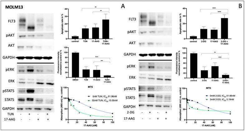https://cdn.ncbi.nlm.nih.gov/pmc/blobs/7131/8616352/6b861f5f5f41/cells-10-02992-g003.jpg