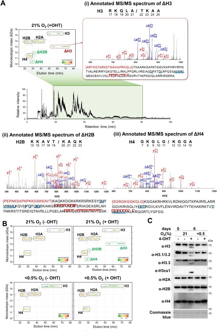 https://cdn.ncbi.nlm.nih.gov/pmc/blobs/7132/11797049/97c17929e216/gkae1210fig2.jpg