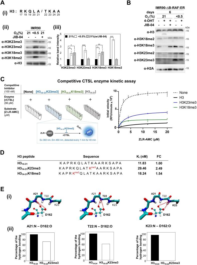 https://cdn.ncbi.nlm.nih.gov/pmc/blobs/7132/11797049/ed6a757058d1/gkae1210fig5.jpg