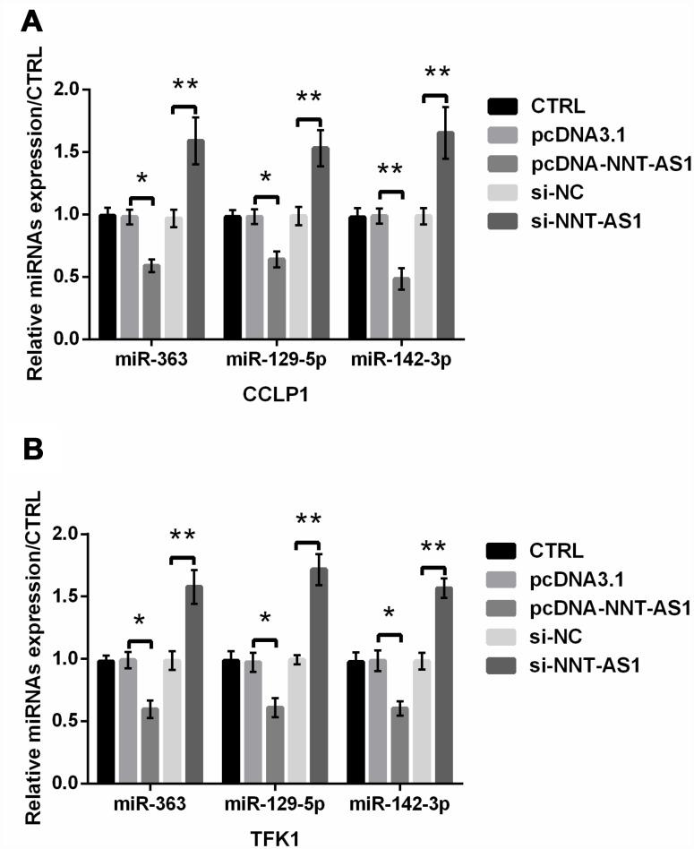 https://cdn.ncbi.nlm.nih.gov/pmc/blobs/7145/7041725/aeaf859c44ed/aging-12-102747-g007.jpg
