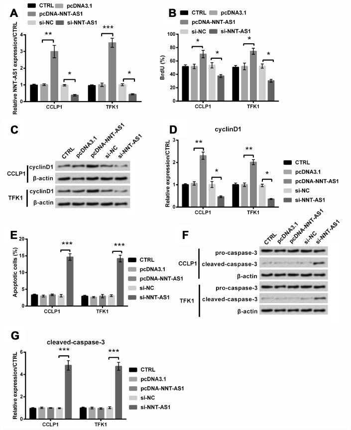 https://cdn.ncbi.nlm.nih.gov/pmc/blobs/7145/7041725/d61ed18d4f2b/aging-12-102747-g002.jpg